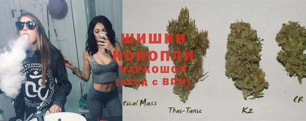 ешки Белокуриха