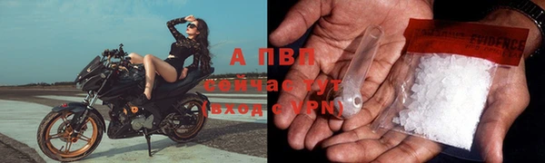ешки Белокуриха