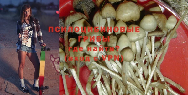 ешки Белокуриха